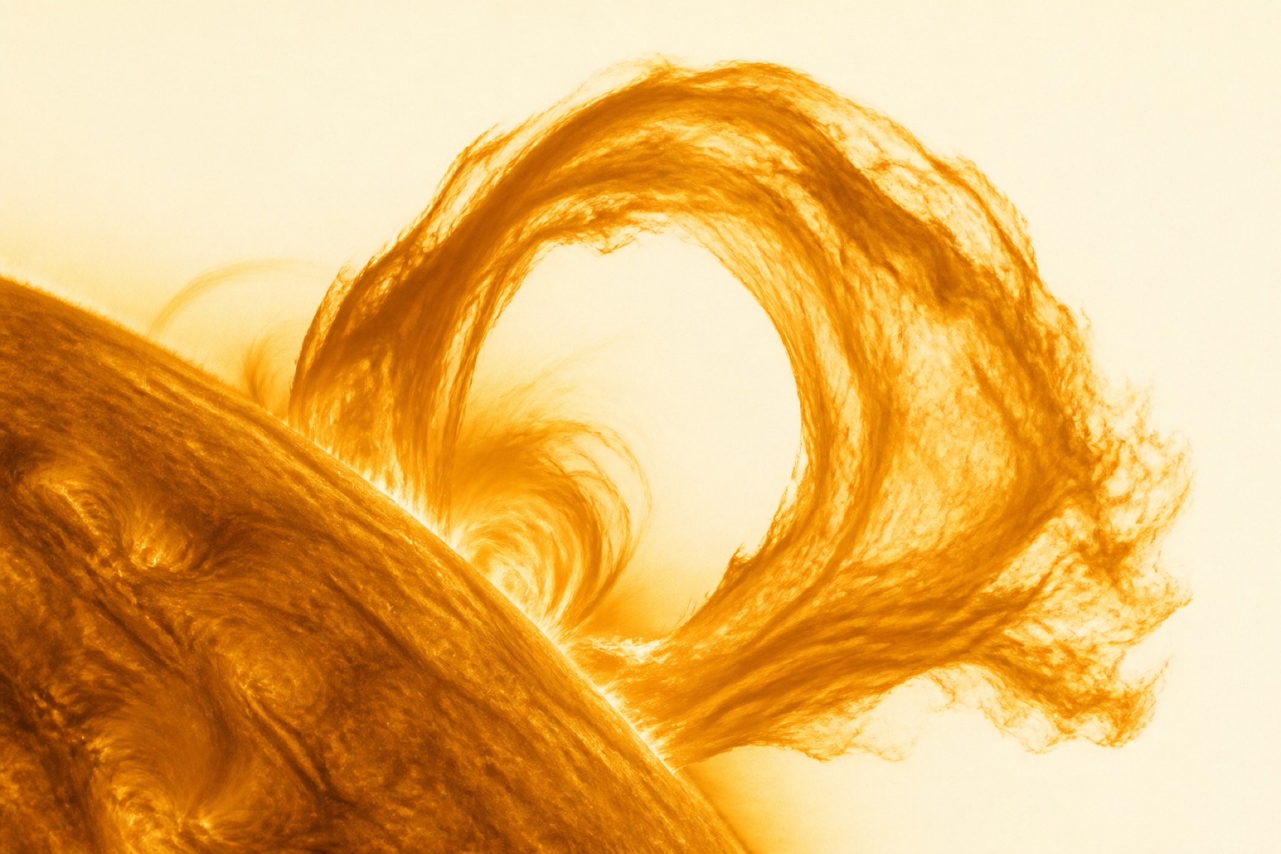 A solar prominence arcing from the limb of the Sun