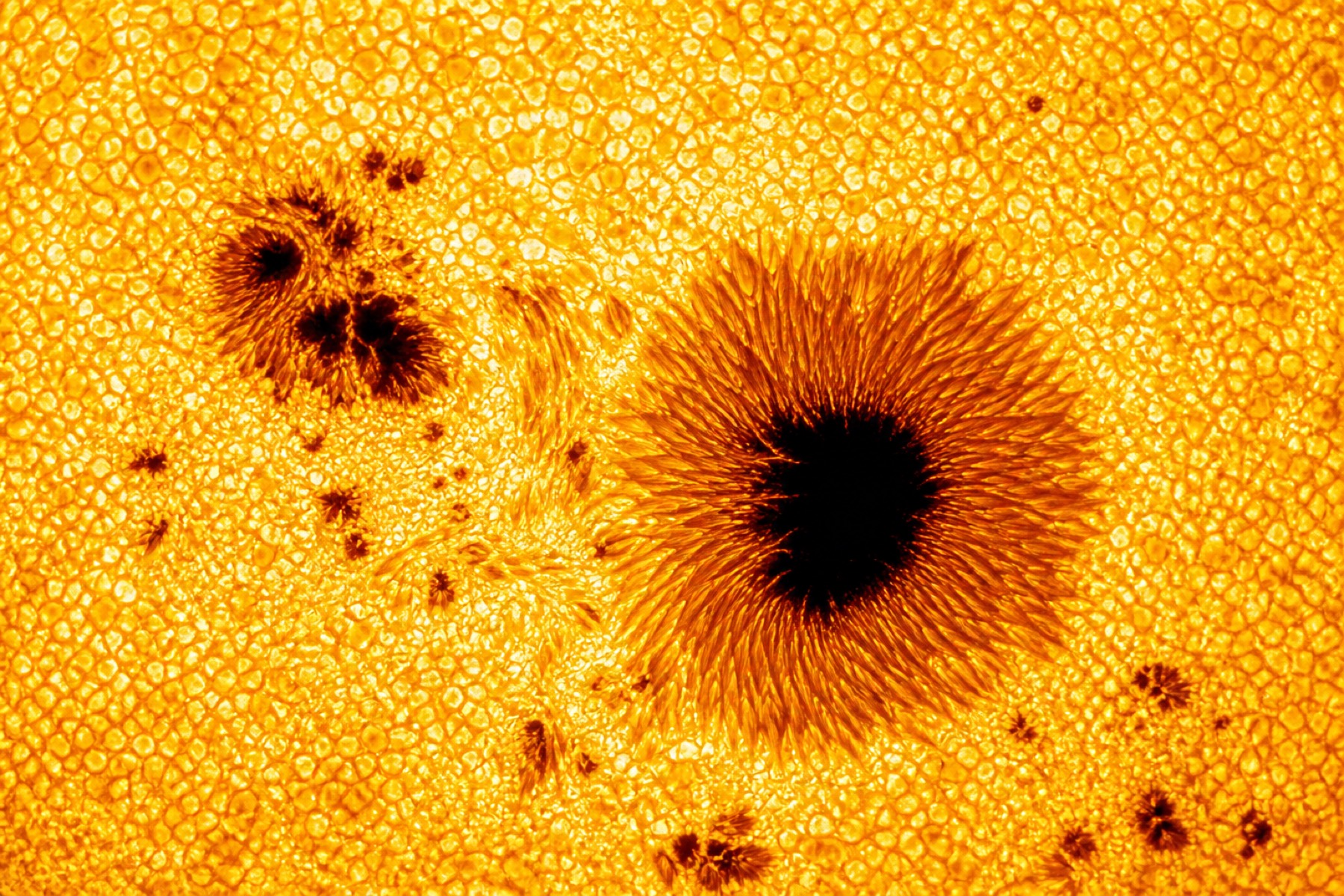 Close-up of the solar photosphere with sunspots